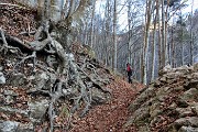 Dai boschi fioriti di Cornalba alle nevi dell鈥橝LBEN il 31 gennaio 2020- FOTOGALLERY